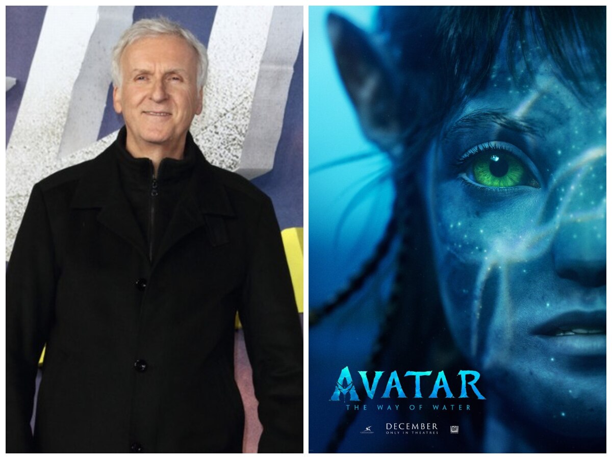 Avatar sequel focuses on family  home